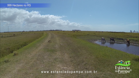 12. Levanta Velho.00_01_18_11.Quadro023_6df2965850e8975460c47b11e6d38298bc6eb21d.jpg